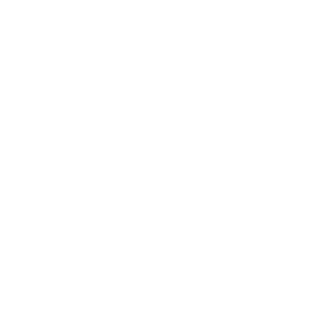 Boutons Réseaux Sociaux
